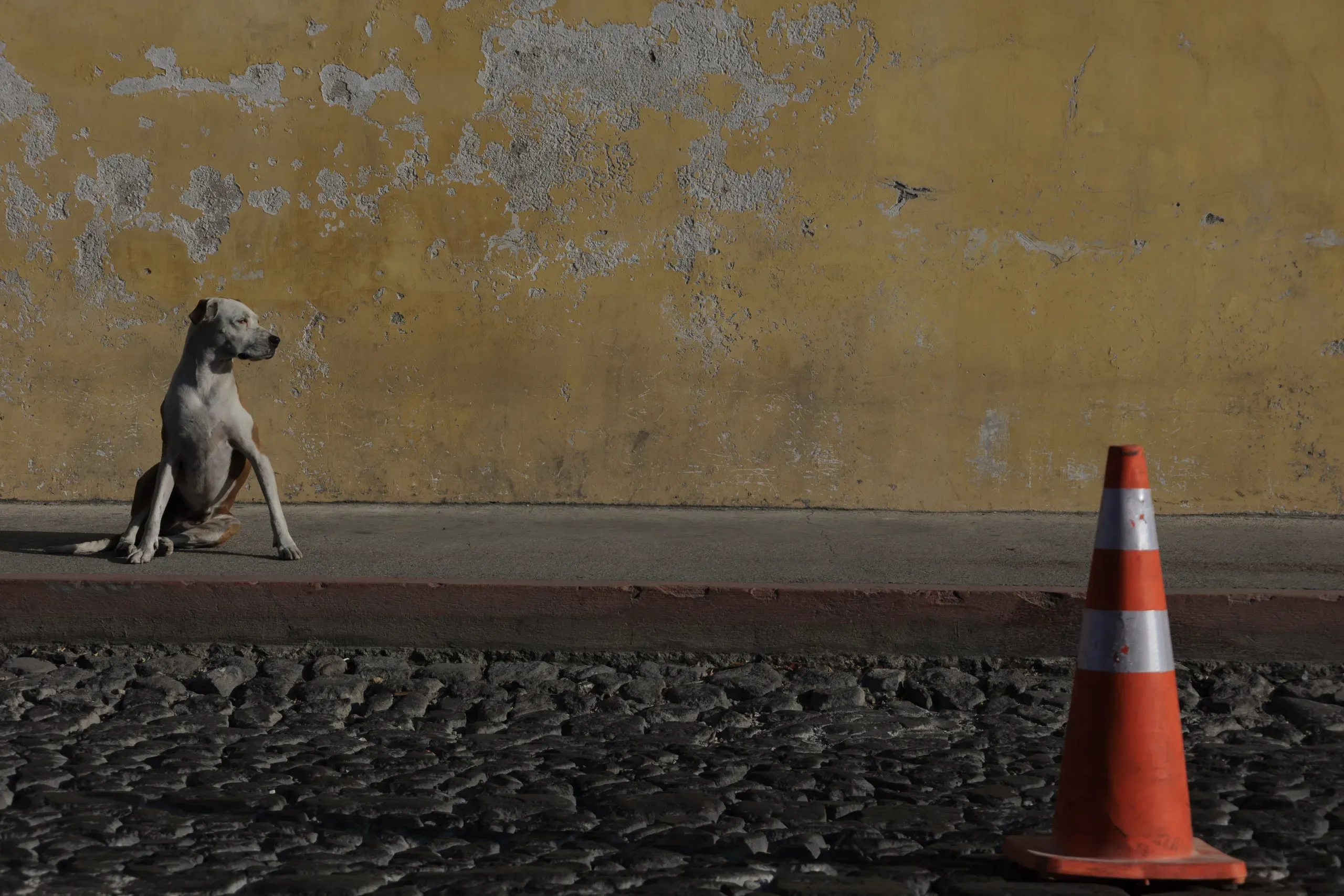 Antigua Guateamala 2026